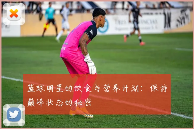 篮球明星的饮食与营养计划：保持巅峰状态的秘密